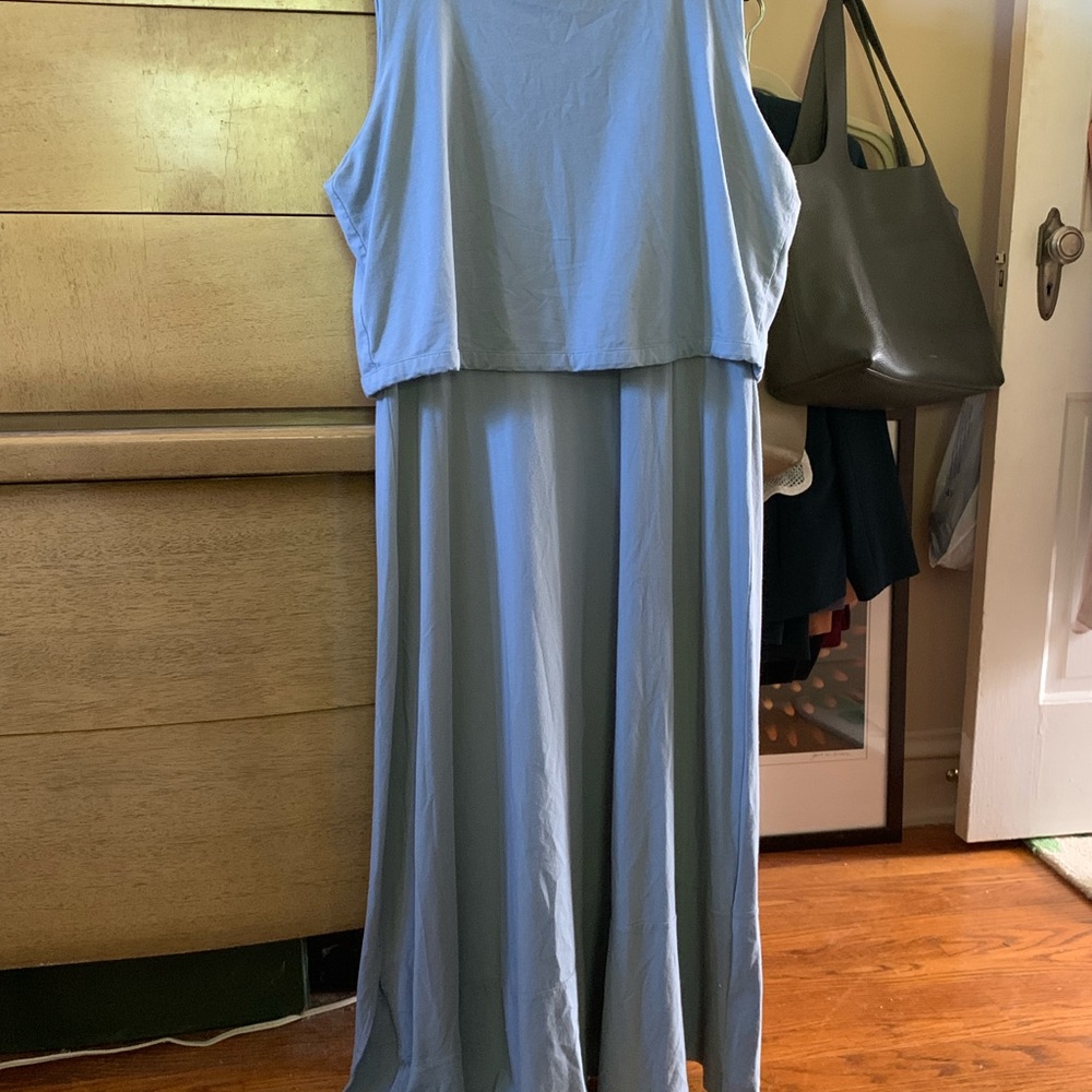Cuyana blue overlay dress